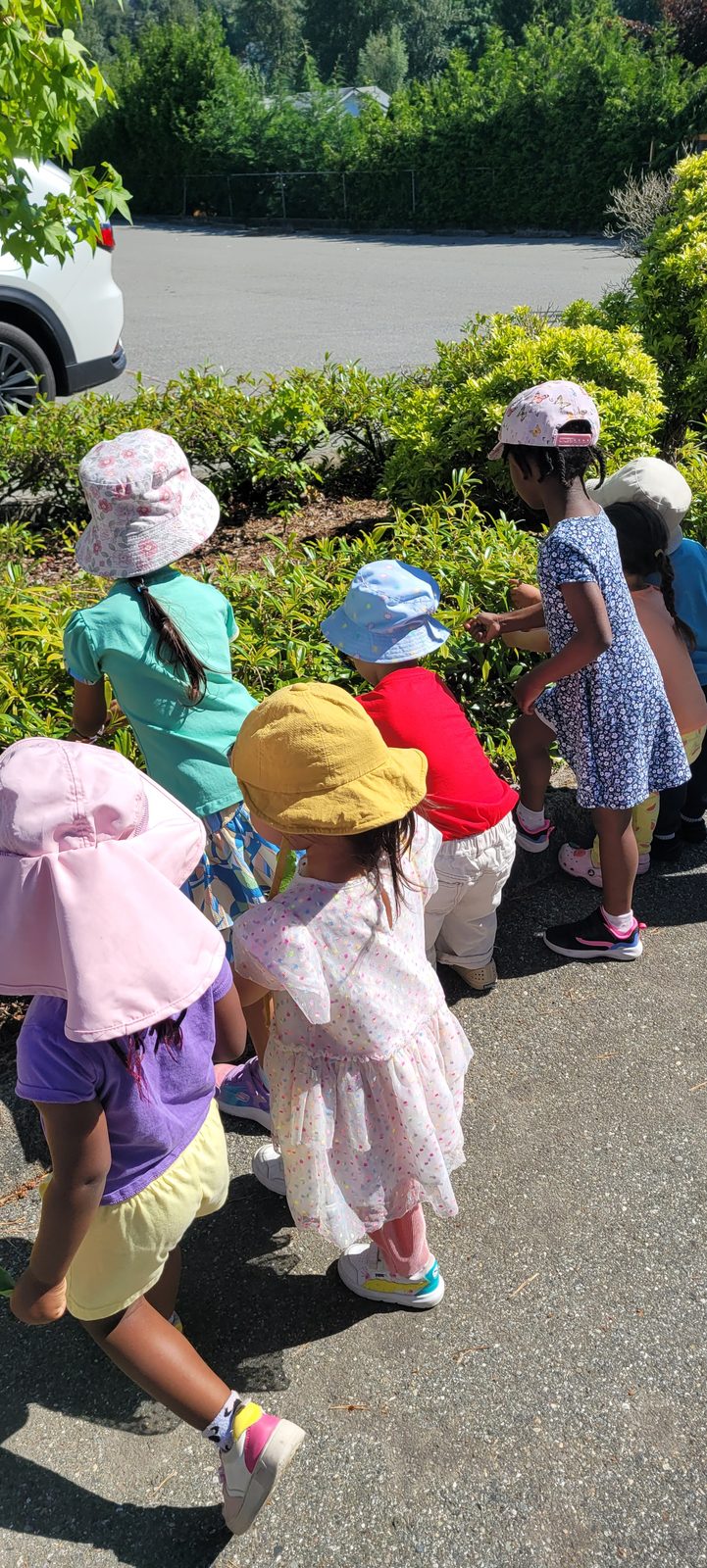 Children in sun hats exploring the hedges on a neighbourhood walk